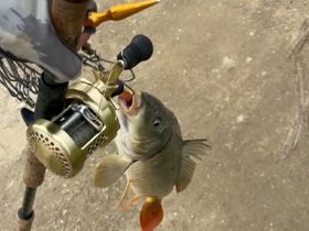 路亚工具有哪些,路亚工具需要哪些