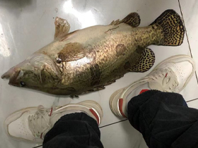 路亚工具有哪些,路亚工具需要哪些